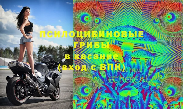 СК Красноперекопск