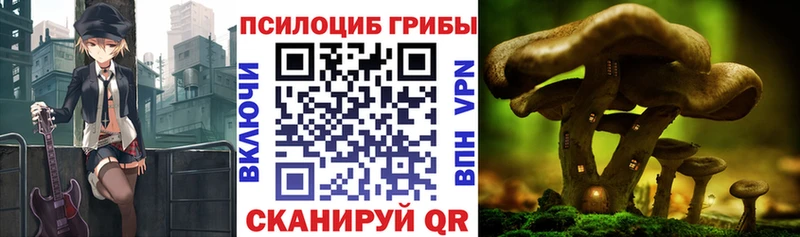 Купить Кстово Галлюциногенные грибы мухоморы